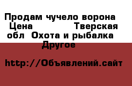Продам чучело ворона › Цена ­ 11 000 - Тверская обл. Охота и рыбалка » Другое   